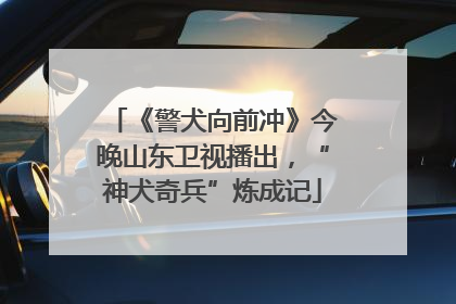 《警犬向前冲》今晚山东卫视播出，“神犬奇兵”炼成记