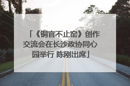 《铜官不止窑》创作交流会在长沙政协同心园举行 陈刚出席