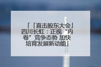 「直击股东大会」四川长虹：正视“内卷”竞争态势 加快培育发展新动能
