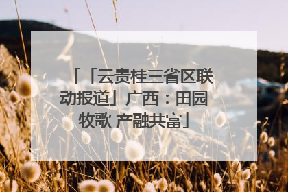 「云贵桂三省区联动报道」广西：田园牧歌 产融共富