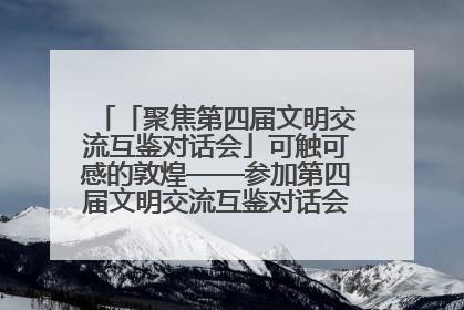 「聚焦第四届文明交流互鉴对话会」可触可感的敦煌——参加第四届文明交流互鉴对话会的外宾参观上元市集