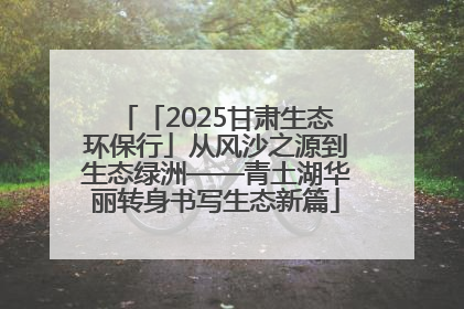 「2025甘肃生态环保行」从风沙之源到生态绿洲——青土湖华丽转身书写生态新篇
