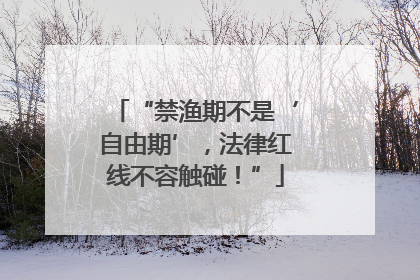 “禁渔期不是‘自由期’，法律红线不容触碰！”