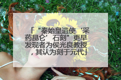 “秦始皇遣使‘采药昆仑’石刻”更早发现者为侯光良教授，其认为刻于元代