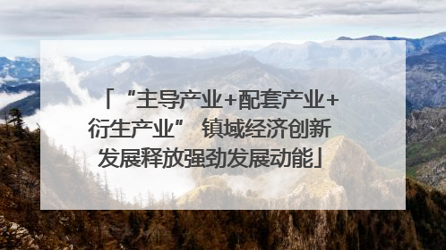 “主导产业+配套产业+衍生产业” 镇域经济创新发展释放强劲发展动能
