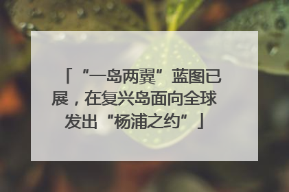 “一岛两翼”蓝图已展，在复兴岛面向全球发出“杨浦之约”