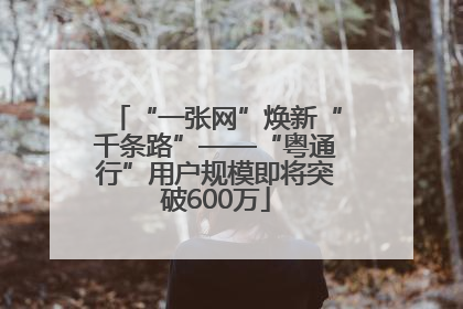 “一张网”焕新“千条路”——“粤通行”用户规模即将突破600万