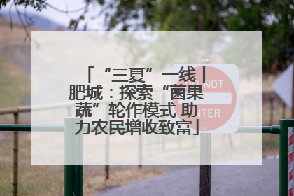 “三夏”一线丨肥城：探索“菌果蔬”轮作模式 助力农民增收致富