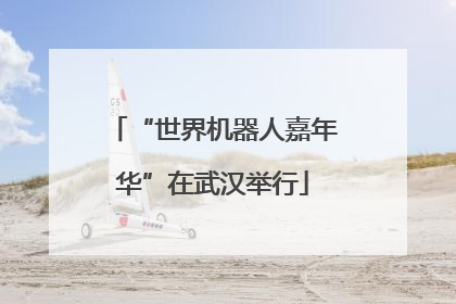 “世界机器人嘉年华”在武汉举行