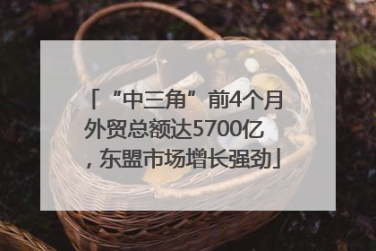 “中三角”前4个月外贸总额达5700亿，东盟市场增长强劲