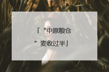 “中原粮仓”麦收过半