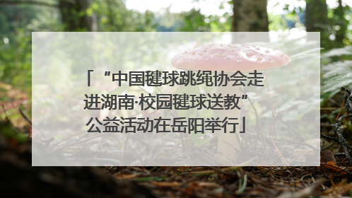 “中国毽球跳绳协会走进湖南·校园毽球送教”公益活动在岳阳举行