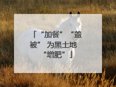 “加餐”“盖被” 为黑土地“增肥”