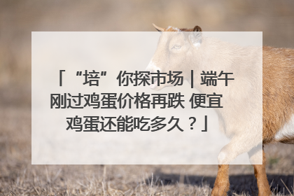 “培”你探市场｜端午刚过鸡蛋价格再跌 便宜鸡蛋还能吃多久？