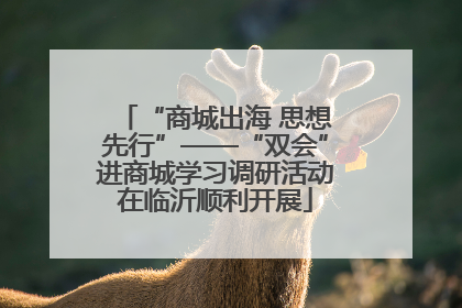 “商城出海 思想先行”——“双会”进商城学习调研活动在临沂顺利开展