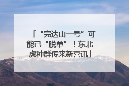 “完达山一号”可能已“脱单”！东北虎种群传来新喜讯