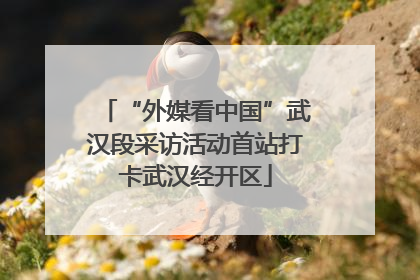“外媒看中国”武汉段采访活动首站打卡武汉经开区