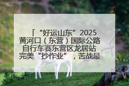 “好运山东”2025黄河口（东营）国际公路自行车赛东营区龙居站 完美“抄作业”，苦战最后时刻黄衫易主