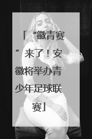 “徽青赛”来了！安徽将举办青少年足球联赛