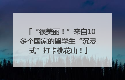 “很美丽！”来自10多个国家的留学生“沉浸式”打卡桃花山！