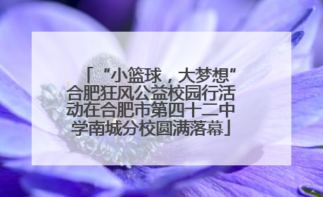 “小篮球，大梦想”合肥狂风公益校园行活动在合肥市第四十二中学南城分校圆满落幕