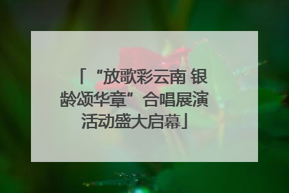 “放歌彩云南 银龄颂华章”合唱展演活动盛大启幕