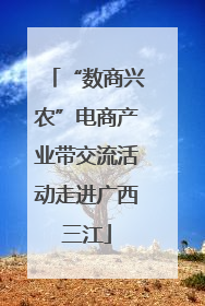 “数商兴农”电商产业带交流活动走进广西三江