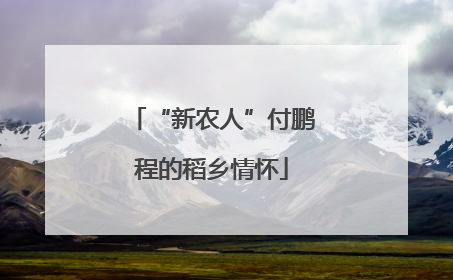 “新农人”付鹏程的稻乡情怀