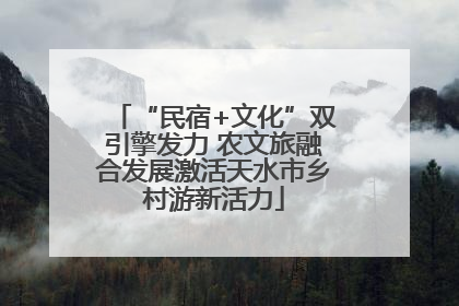 “民宿+文化”双引擎发力 农文旅融合发展激活天水市乡村游新活力
