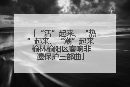 “活”起来、“热”起来、“潮”起来 榆林榆阳区奏响非遗保护三部曲