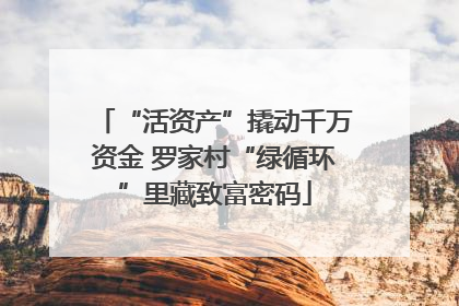 “活资产”撬动千万资金 罗家村“绿循环”里藏致富密码