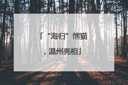 “海归”熊猫，温州亮相