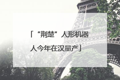 “荆楚”人形机器人今年在汉量产