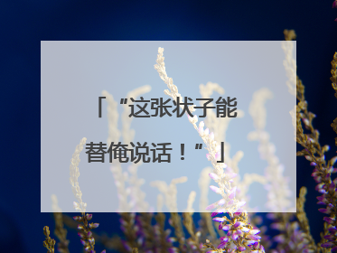 “这张状子能替俺说话！”