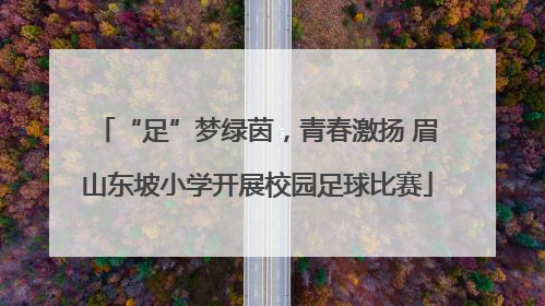 “足”梦绿茵，青春激扬 眉山东坡小学开展校园足球比赛