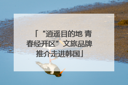 “逍遥目的地 青春经开区”文旅品牌推介走进韩国