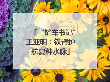 “铲车书记”王亚明：铁臂护航夏种水脉