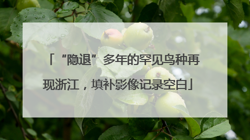 “隐退”多年的罕见鸟种再现浙江，填补影像记录空白