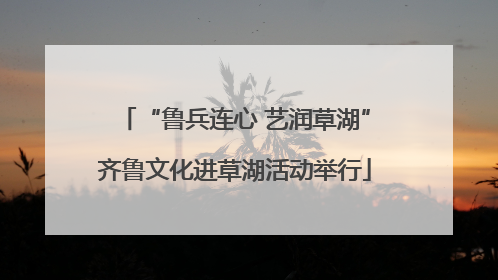 “鲁兵连心 艺润草湖”齐鲁文化进草湖活动举行