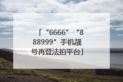 “6666”“888999”手机靓号再登法拍平台