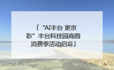 “AI丰台 更京彩”丰台科技园商圈消费季活动启幕