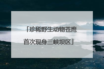 珍稀野生动物苍鹰首次现身三峡坝区