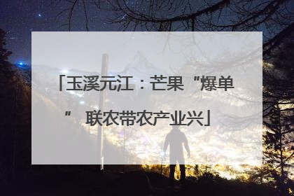 玉溪元江：芒果“爆单” 联农带农产业兴