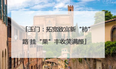 玉门：拓宽致富新“柿”路 挂“果”丰收笑满颜