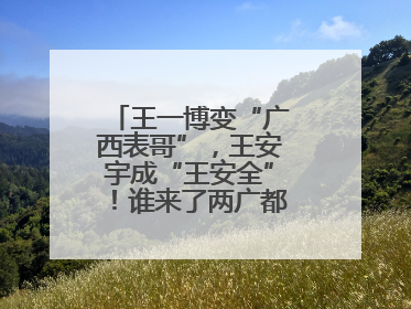 王一博变“广西表哥”，王安宇成“王安全”！谁来了两广都得“腌入味”