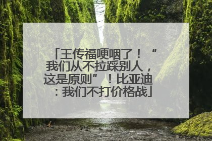 王传福哽咽了！“我们从不拉踩别人，这是原则”！比亚迪：我们不打价格战