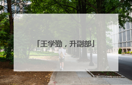 王学勤，升副部