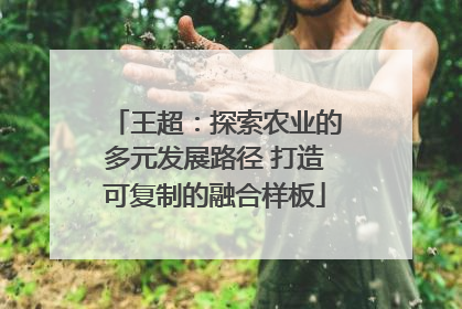 王超：探索农业的多元发展路径 打造可复制的融合样板