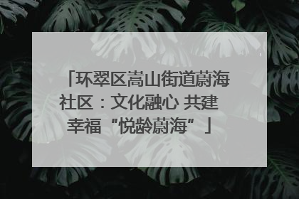 环翠区嵩山街道蔚海社区：文化融心 共建幸福“悦龄蔚海”