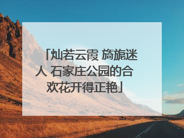 灿若云霞 旖旎迷人 石家庄公园的合欢花开得正艳